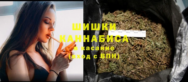 стафф Покачи