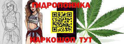 прущие грибы Камышлов