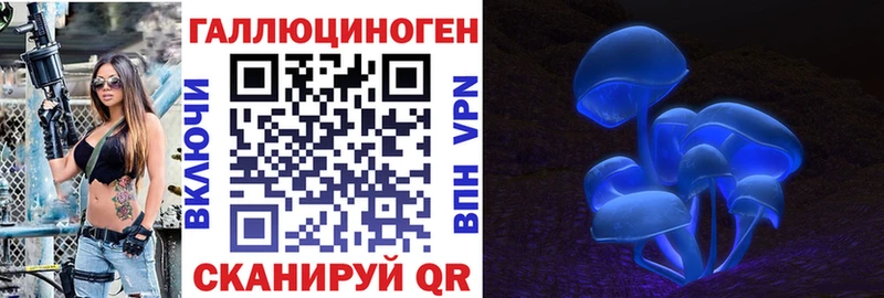 Галлюциногенные грибы Psilocybe  Протвино 