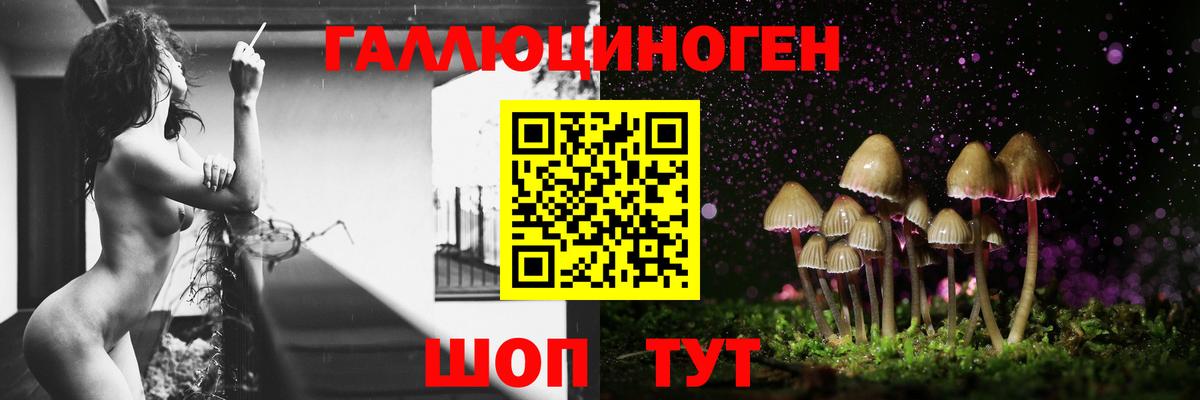 Галлюциногенные грибы мухоморы Протвино