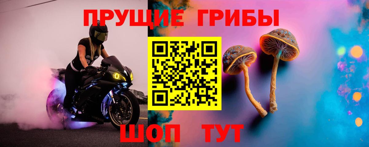 Псилоцибиновые грибы Протвино