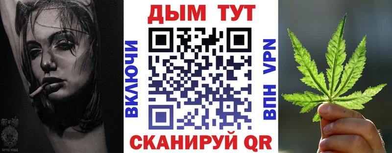 Бошки Шишки планчик Протвино